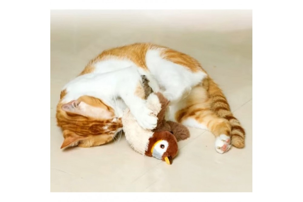 Şarjlı Peluş Kuş Oyuncak Şarjlı Peluş Kuş Oyuncak