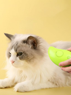 Buharlı Kedi Tarağı