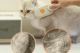 Kedi Köpek Buharlı Pet Tarağı Kedi Köpek Buharlı Pet Tarağı