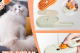 Kedi Köpek Buharlı Pet Tarağı Kedi Köpek Buharlı Pet Tarağı