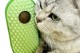 Silikon Kaşıyıcılı Kedi Otu Silikon Kaşıyıcılı Kedi Otu