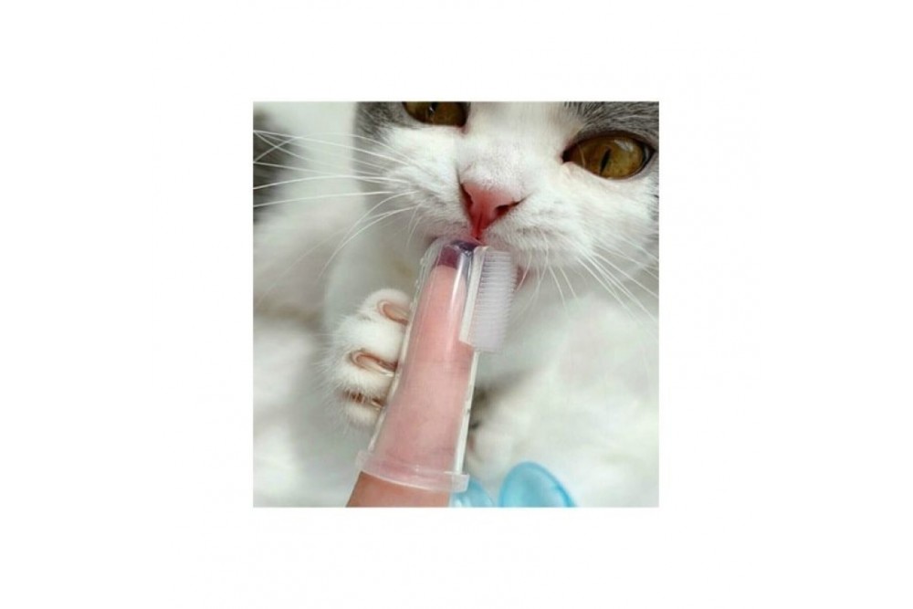 Kedi Köpek Parmak Diş Temizleme Fırçası Kedi Köpek Parmak Diş Temizleme Fırçası