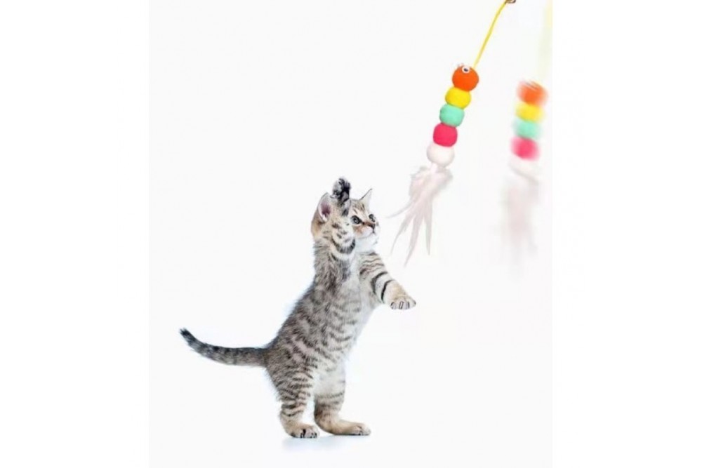 Elastik Yapışkanlı Kedi Oyun Oltası Elastik Yapışkanlı Kedi Oyun Oltası