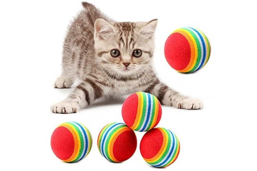 Sünger Kedi Köpek Çiğneme Ve Oyun Topu 4 Adet