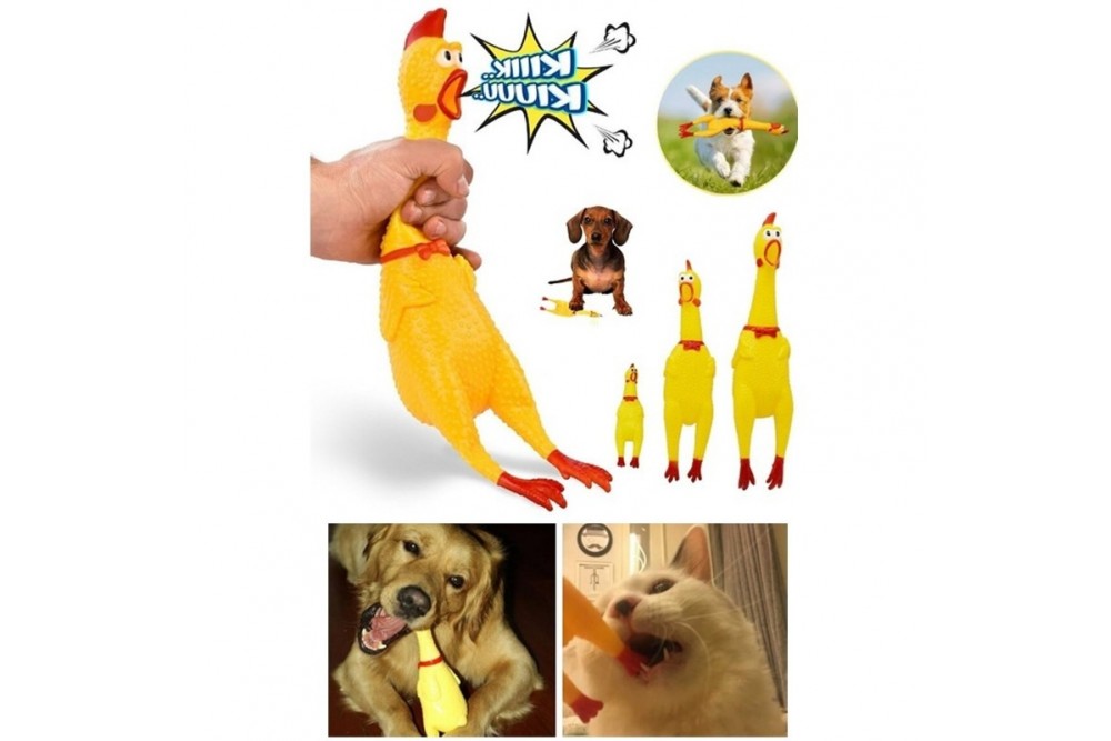 Ses Çıkaran Tavuk Kedi Köpek Oyuncağı 16 cm Ses Çıkaran Tavuk Kedi Köpek Oyuncağı 16 cm